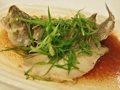 清蒸鲈鱼-朱仔记食府(江南大道店)