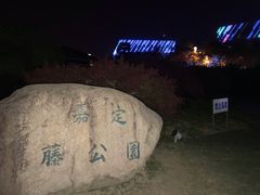 -嘉定紫藤园