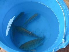 -侯臣咖啡文化村