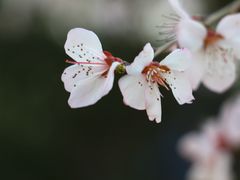 -鬼笑石后山停车场