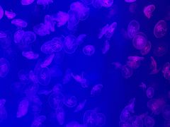 -沈阳海洋探索中心