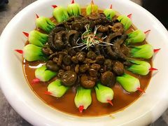 -院里寻菜·精致庭院菜(观沙岭店)