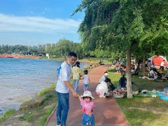 -丁香湖公园
