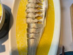 鸡汁大白鱼-食悦江南·淮扬菜·烤鸭(亚运村·惠新店)