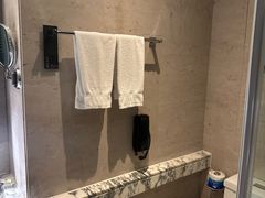 -上海龙之梦万丽酒店