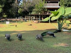 -昆明动物园