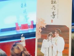 -合肥大剧院