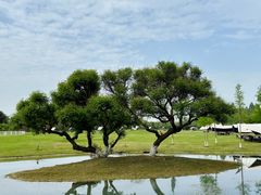-夏河溪乡野公园