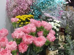 -淘花源花艺鲜花店 开业花篮 绿植(南部商务区店)
