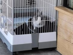 -小意思咖啡店(草桥店)