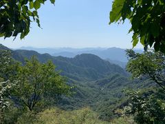 -大岭沟猕猴桃谷风景区