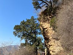 -北京上方山国家森林公园