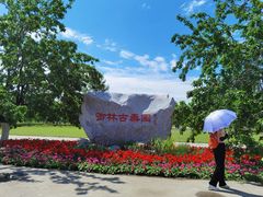-御林古桑园