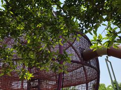 -枫香湖儿童公园