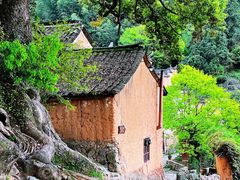 -杨家堂村