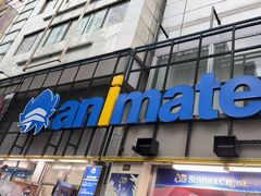 -Animate(秋叶原本馆)