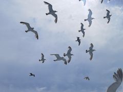 -海驴岛(荣成市)