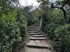 -杭州半山国家森林公园