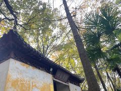 -虞山风景区