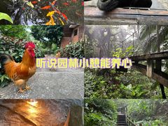-青青世界