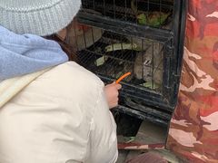 -小鱼草莓采摘园农家乐·小鱼餐厅