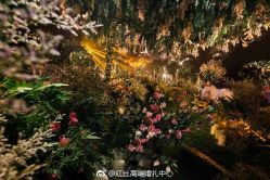 -红丝高端婚礼中心(旗舰店)
