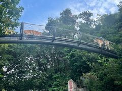 -深圳野生动物园
