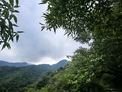 -阳台山自然风景区