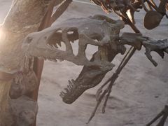 -国家自然博物馆