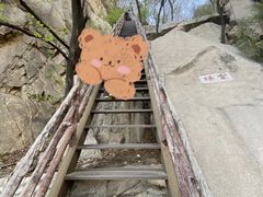 -北京凤凰岭
