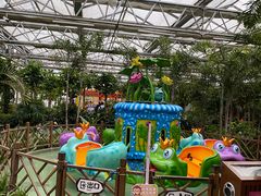 -南宫五洲植物乐园