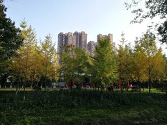 -樽宴酒楼·地道川菜·品质宴请
