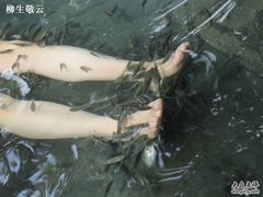 -三亚珠江南田温泉度假区