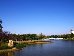 -映月湖公园