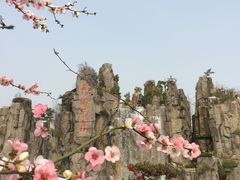 -秀丽东方