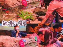 -沈阳海洋探索中心