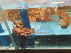 -阿伟海鲜楼·福建菜(延寿店)
