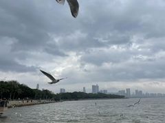 -深圳湾公园(南山区)
