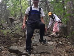 -阳台山自然风景区