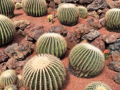 -南通洲际绿博园