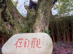 -峨眉山风景名胜区
