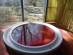 -春晖园度假酒店温泉