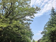 -芭东小镇温泉