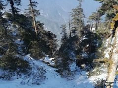 -瓦屋山景区