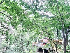 -洛阳白云山景区