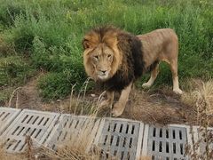 -鄂尔多斯野生动物园