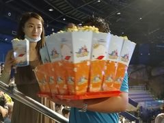 -芜湖新华联大白鲸海洋公园