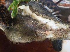 石斑鱼清蒸-四川小胡子海鲜(丁村万人海鲜广场店)