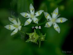 -红峡谷