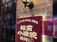 -福苗小骆驼烧烤(莲湖路店)